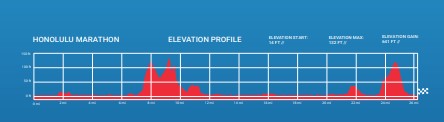 ホノルルマラソンの高低差