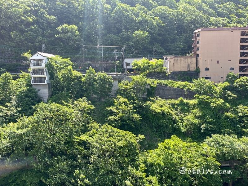 鬼怒川温泉ホテル湯の街館和洋室から見える線路