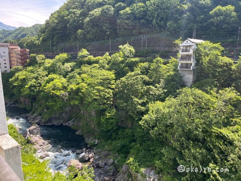 鬼怒川温泉ホテル湯の街館和洋室から見える鬼怒川